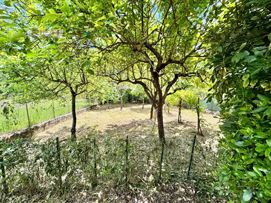 Immagine 3 di Casa indipendente in vendita  in VIA NAZARIO SAURO, 21 a Cantalice