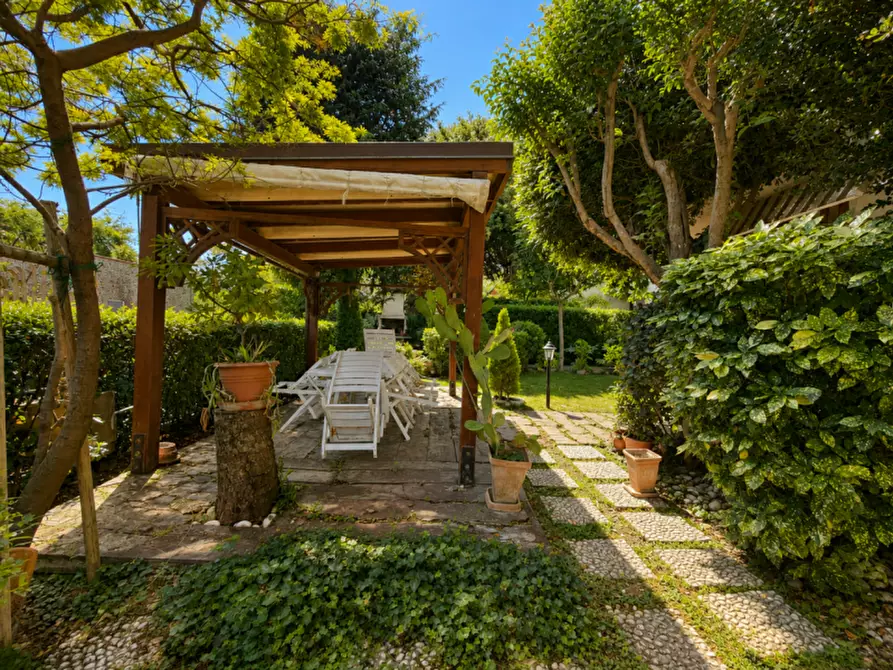 Immagine 33 di Appartamento in vendita  a Senigallia