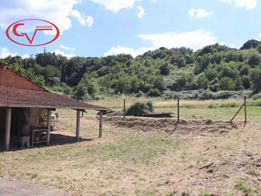 Immagine 5 di Rustico / casale in vendita  in via pacinotti a Montevarchi