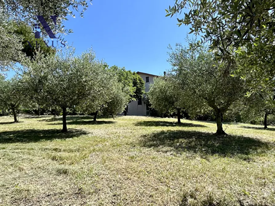 Immagine 15 di Casa indipendente in vendita  in Via Qualandro a Corinaldo