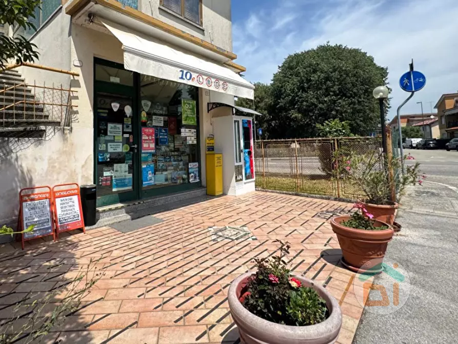 Immagine 14 di Attività commerciale in vendita  in Via San Pietro,8 a San Canzian D'isonzo