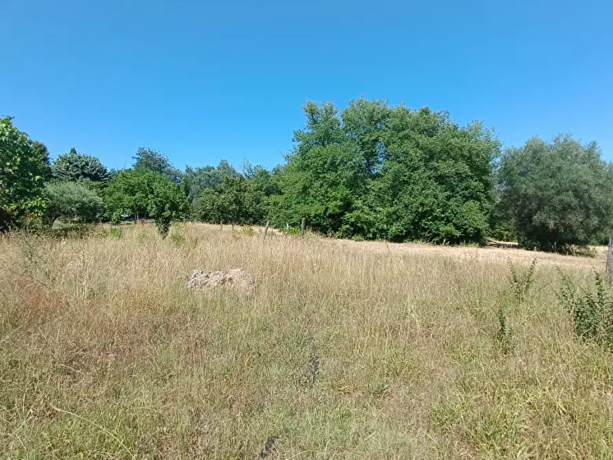 Immagine 4 di Terreno in vendita  in Via dell'Unità d'Italia a Macerata
