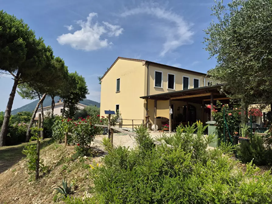 Immagine 1 di Casa indipendente in vendita  in via capitelli, 186 a Vo