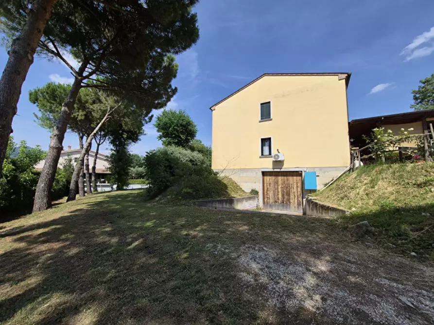 Immagine 33 di Casa indipendente in vendita  in via capitelli, 186 a Vo