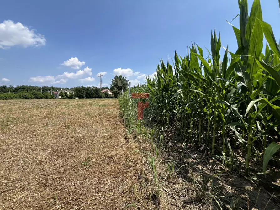 Immagine 2 di Terreno in vendita  a Padova
