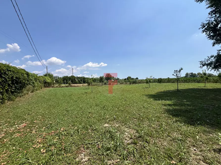 Immagine 3 di Terreno in vendita  a Padova