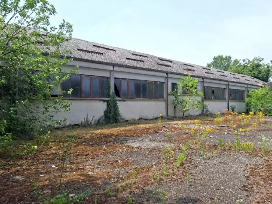 Immagine 1 di Capannone industriale in vendita  in Via delle Barazzine, 27017 Pieve Porto Morone PV, Italia a Pieve Porto Morone