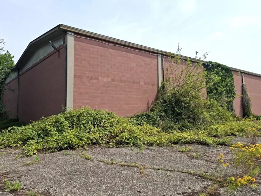 Immagine 11 di Capannone industriale in vendita  in Via delle Barazzine, 27017 Pieve Porto Morone PV, Italia a Pieve Porto Morone