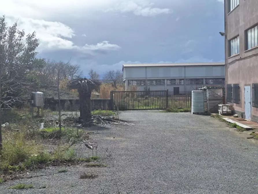 Immagine 5 di Capannone industriale in vendita  in Contrada Imperatore snc a Bisignano