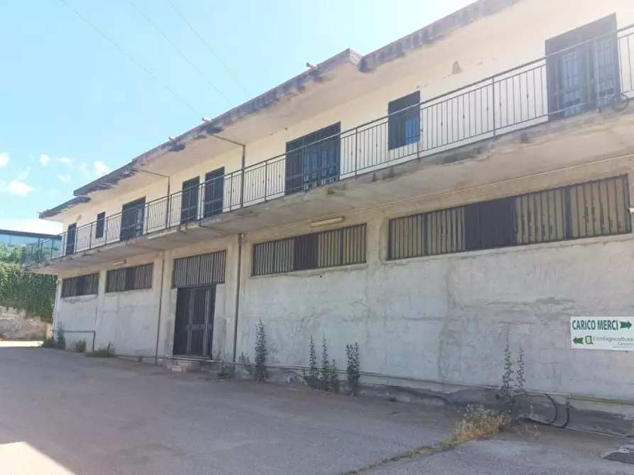 Immagine 1 di Capannone industriale in vendita  in Contrada Tre Fontane, SP58, Paternò CT, Italia a Paterno'