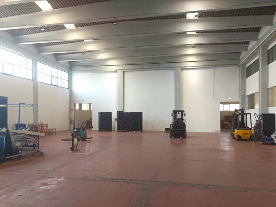 Immagine 2 di Capannone industriale in vendita  in Contrada Tre Fontane, SP58, Paternò CT, Italia a Paterno'