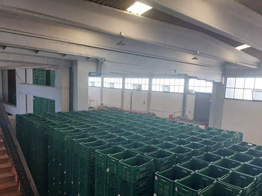 Immagine 3 di Capannone industriale in vendita  in Contrada Tre Fontane, SP58, Paternò CT, Italia a Paterno'