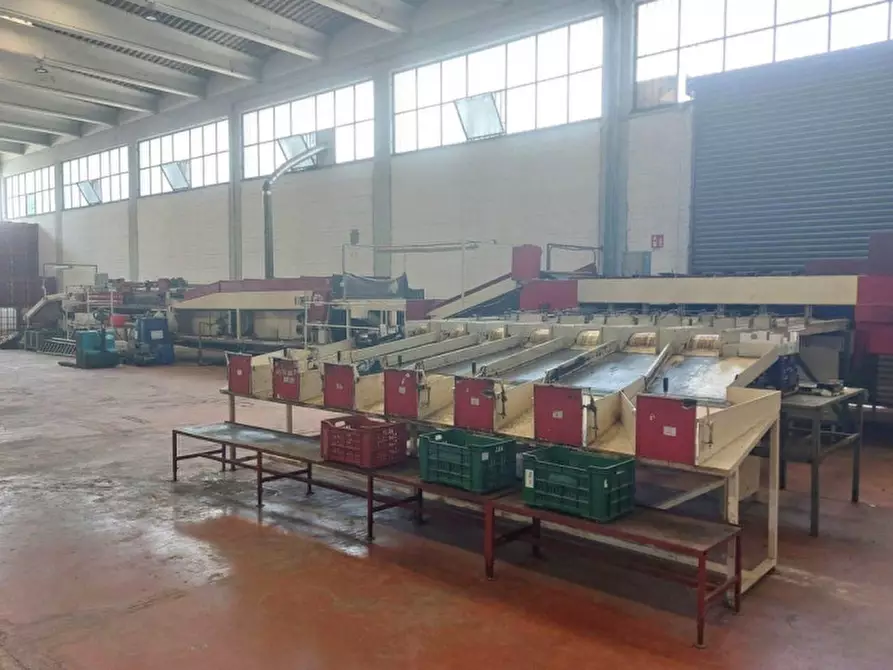 Immagine 5 di Capannone industriale in vendita  in Contrada Tre Fontane, SP58, Paternò CT, Italia a Paterno'