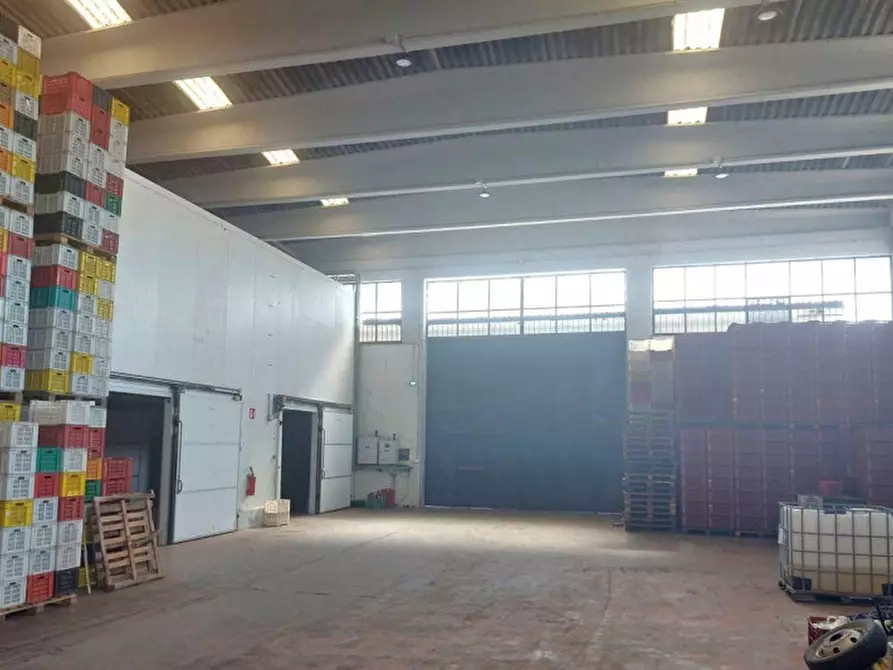 Immagine 6 di Capannone industriale in vendita  in Contrada Tre Fontane, SP58, Paternò CT, Italia a Paterno'
