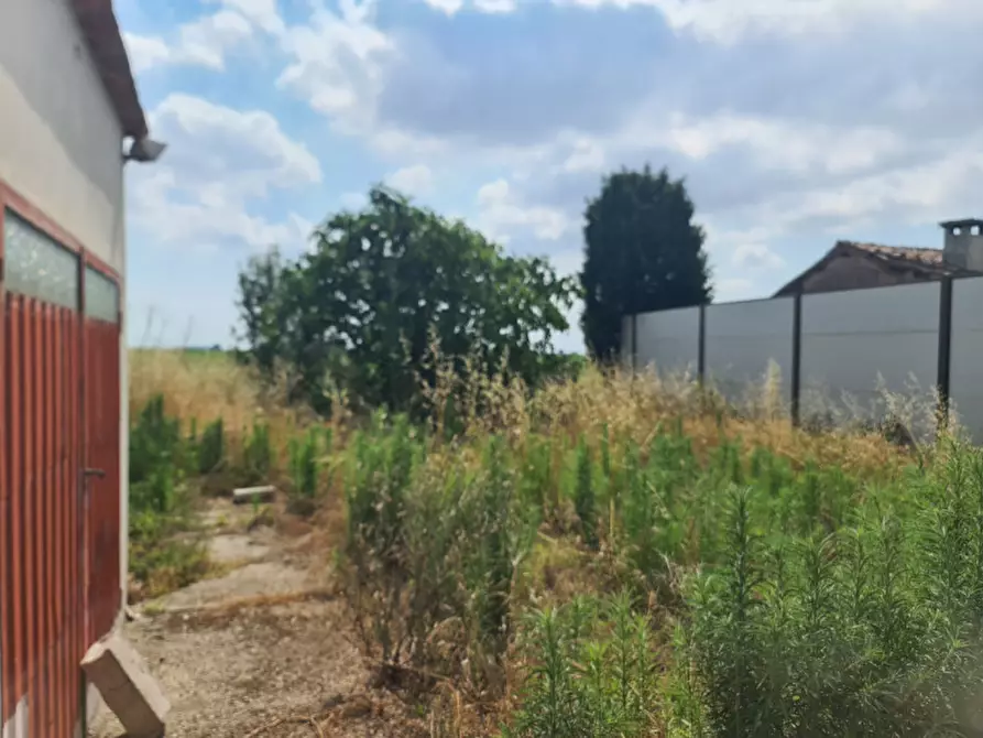 Immagine 7 di Villetta a schiera in vendita  in Viale della Repubblica 77 a Lagosanto
