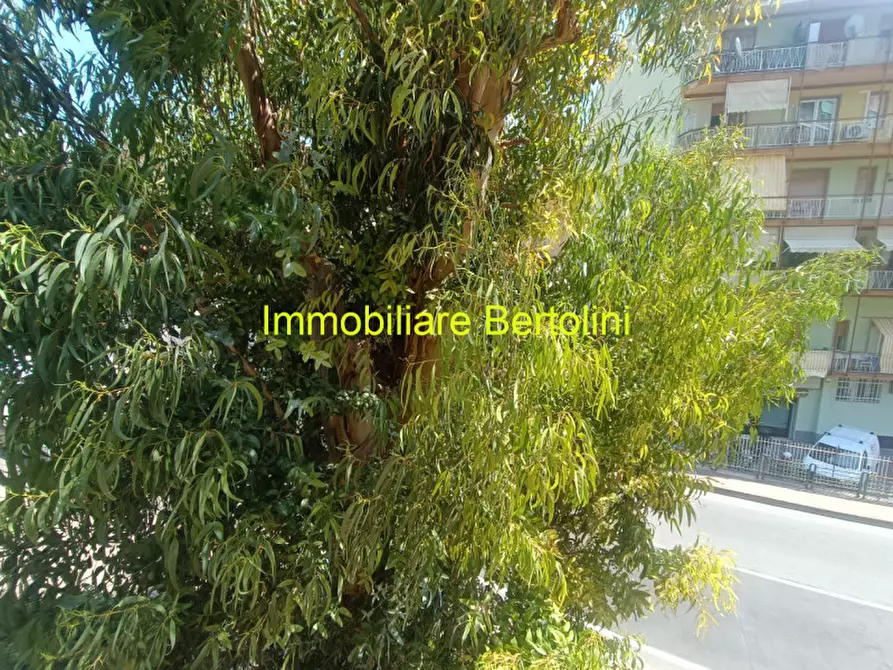 Immagine 21 di Appartamento in vendita  in Via San Francesco a San Remo