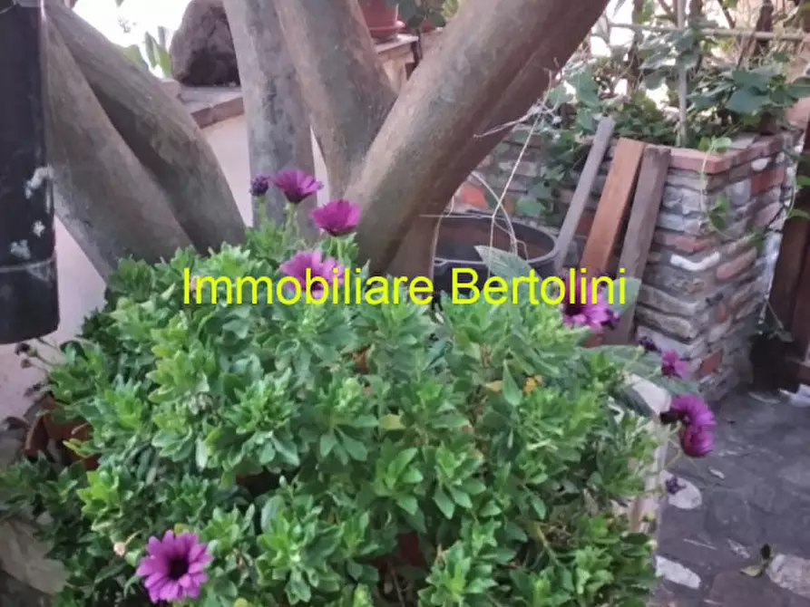 Immagine 38 di Appartamento in vendita  in Via San Francesco a San Remo
