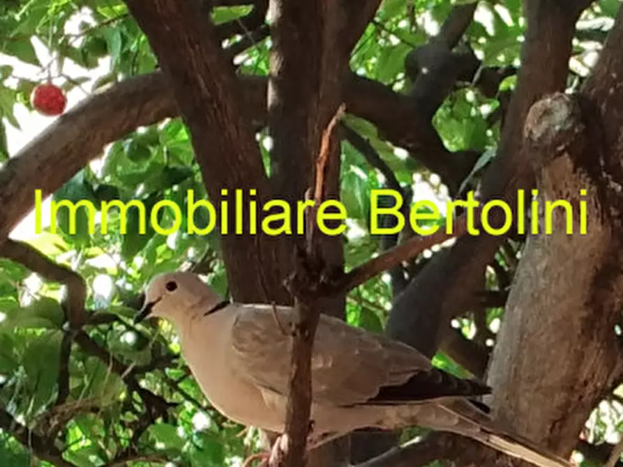 Immagine 40 di Appartamento in vendita  in Via San Francesco a San Remo