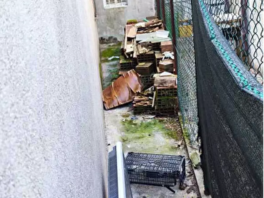 Immagine 7 di Appartamento in vendita  in Via Risorgimento 2 a Arcole