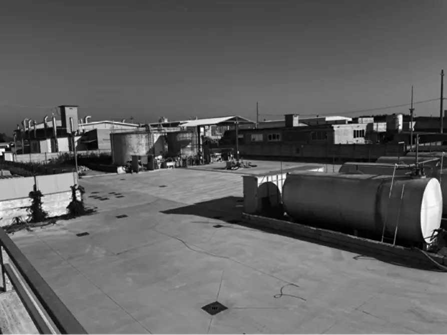 Immagine 4 di Capannone industriale in vendita  in Via quari destra 51 a Cologna Veneta