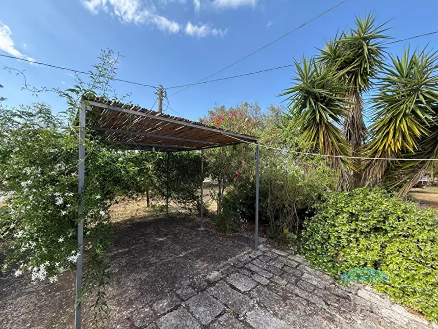 Immagine 25 di Rustico / casale in vendita  in Contrada Pezze Sant'Angelo a Ceglie Messapico