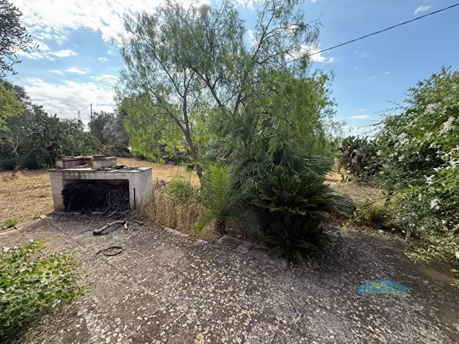 Immagine 26 di Rustico / casale in vendita  in Contrada Pezze Sant'Angelo a Ceglie Messapico