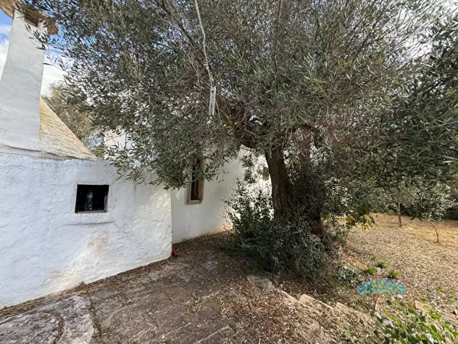 Immagine 28 di Rustico / casale in vendita  in Contrada Pezze Sant'Angelo a Ceglie Messapico