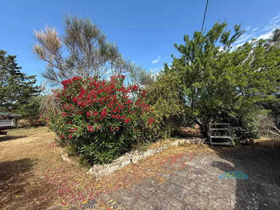 Immagine 29 di Rustico / casale in vendita  in Contrada Pezze Sant'Angelo a Ceglie Messapico