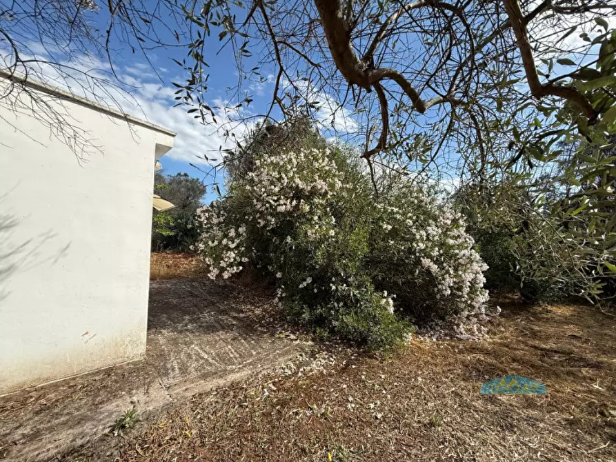 Immagine 30 di Rustico / casale in vendita  in Contrada Pezze Sant'Angelo a Ceglie Messapico