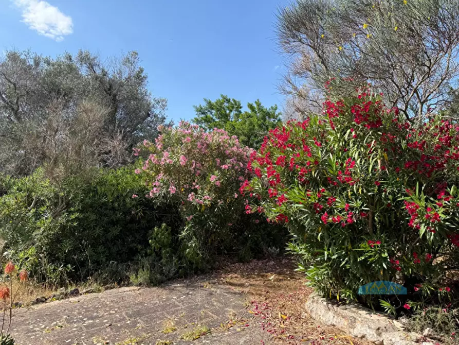 Immagine 32 di Rustico / casale in vendita  in Contrada Pezze Sant'Angelo a Ceglie Messapico