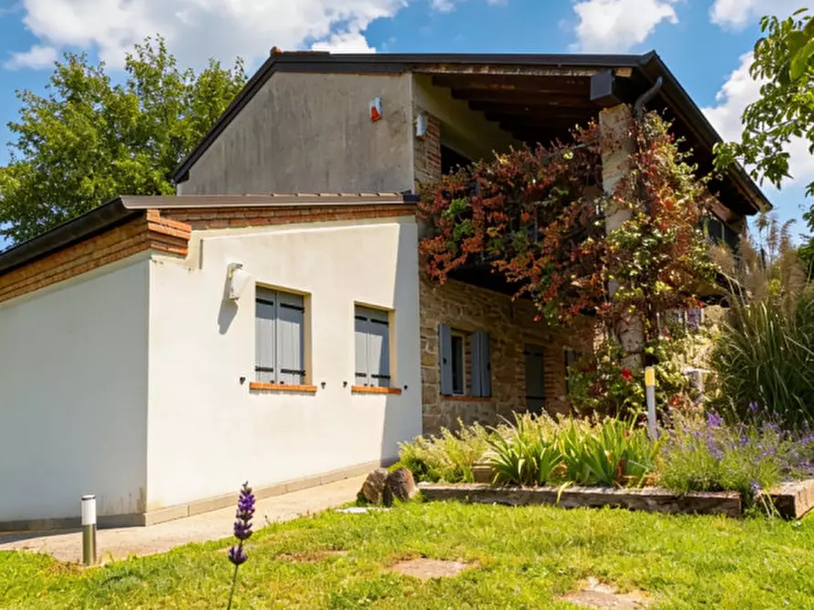 Immagine 5 di Rustico / casale in vendita  in Via Bagno a Cinto Euganeo