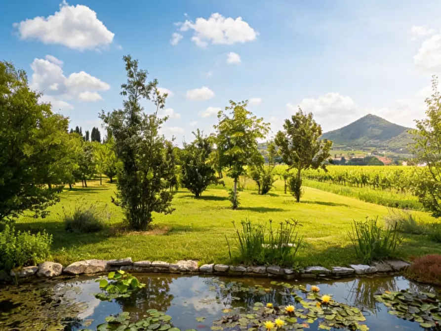Immagine 10 di Rustico / casale in vendita  in Via Bagno a Cinto Euganeo