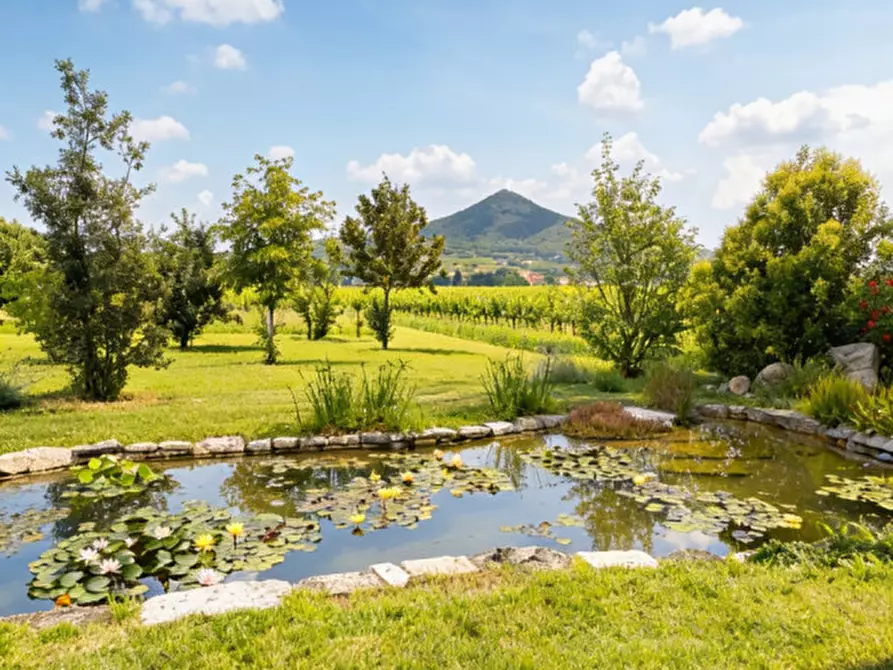 Immagine 21 di Rustico / casale in vendita  in Via Bagno a Cinto Euganeo