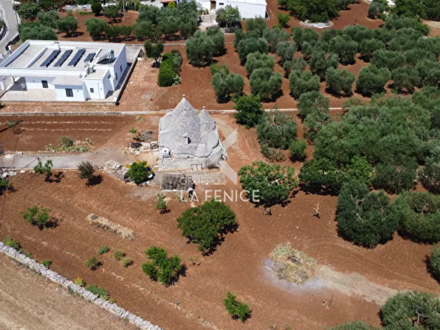 Immagine 5 di Rustico / casale in vendita  in strada conco d'oro a Martina Franca