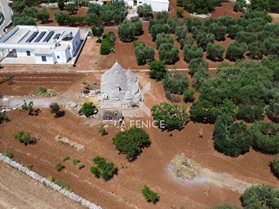 Immagine 7 di Rustico / casale in vendita  in strada conco d'oro a Martina Franca
