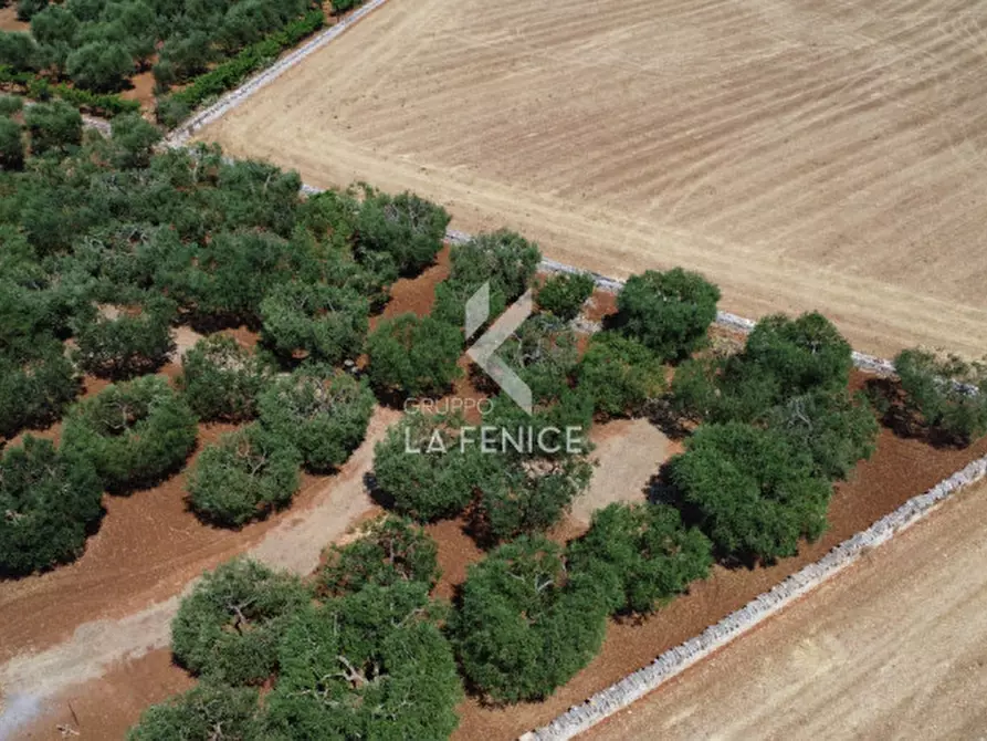 Immagine 8 di Rustico / casale in vendita  in strada conco d'oro a Martina Franca