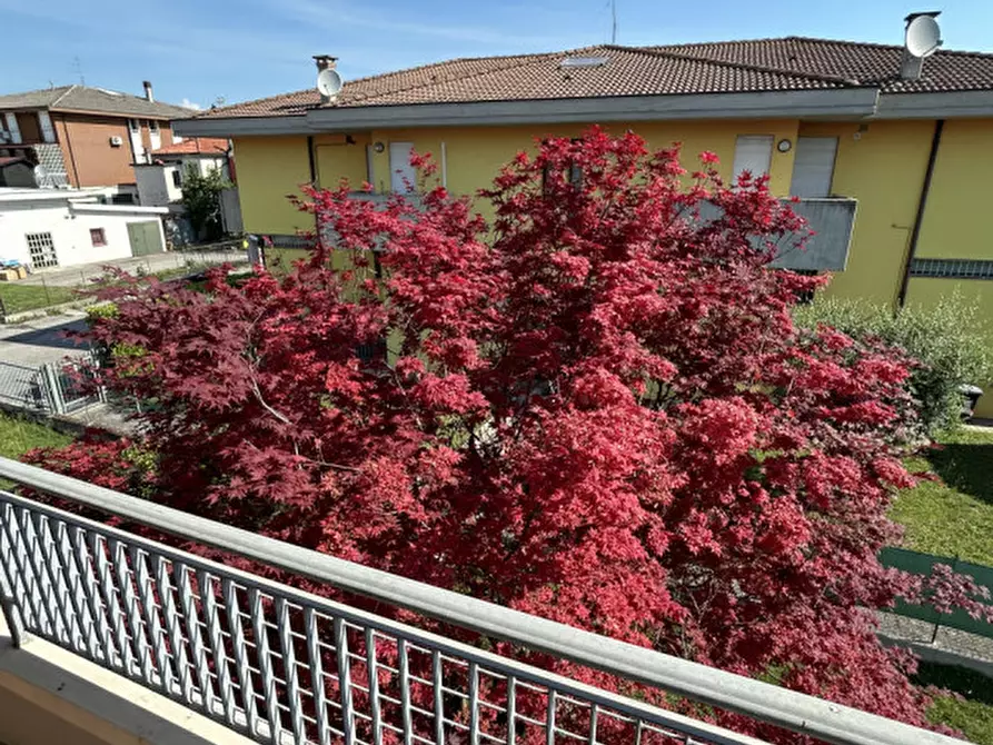 Immagine 28 di Villetta a schiera in vendita  in Via Roma a Grisignano Di Zocco