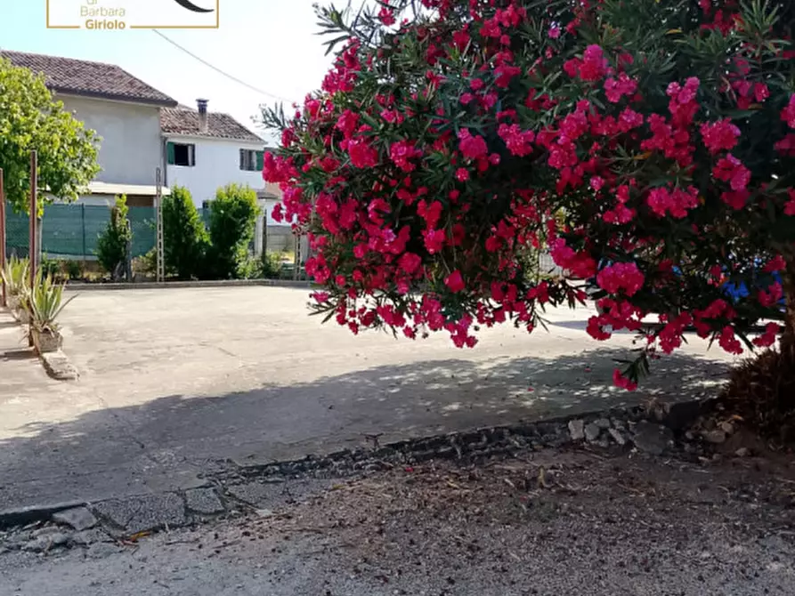 Immagine 3 di Casa bifamiliare in vendita  a Castagnaro
