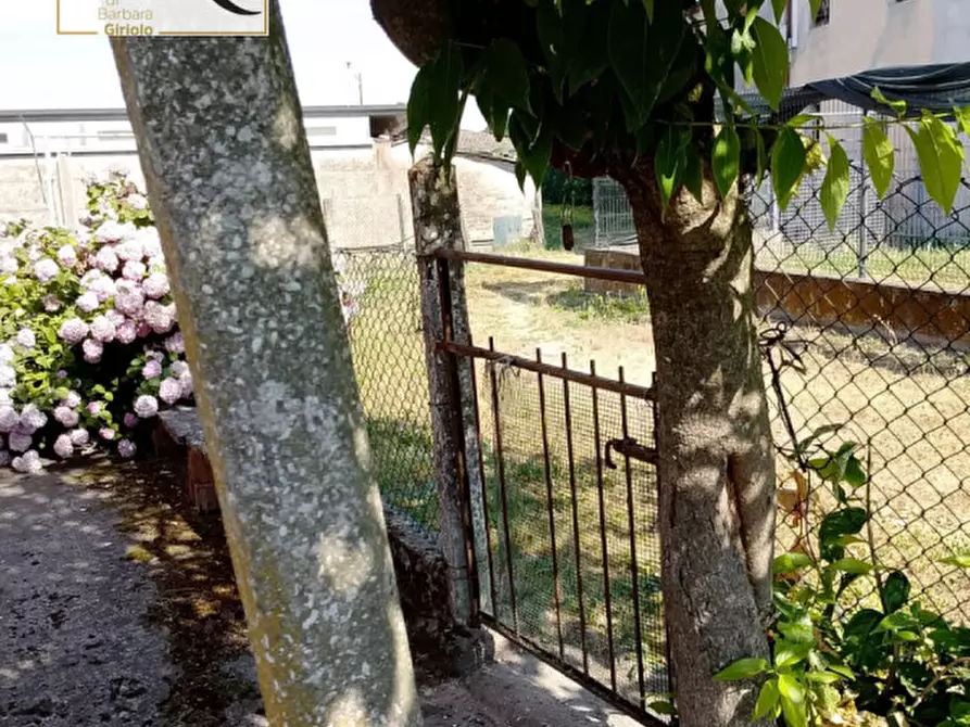 Immagine 5 di Casa bifamiliare in vendita  a Castagnaro