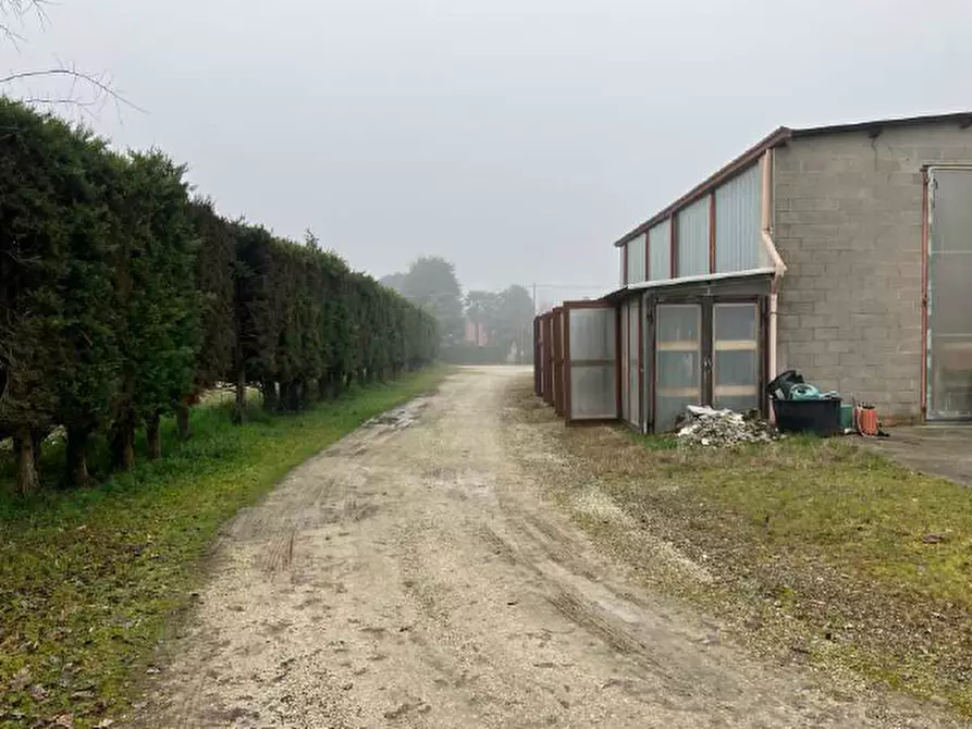 Immagine 3 di Terreno in vendita  in Via Montello a San Giorgio In Bosco