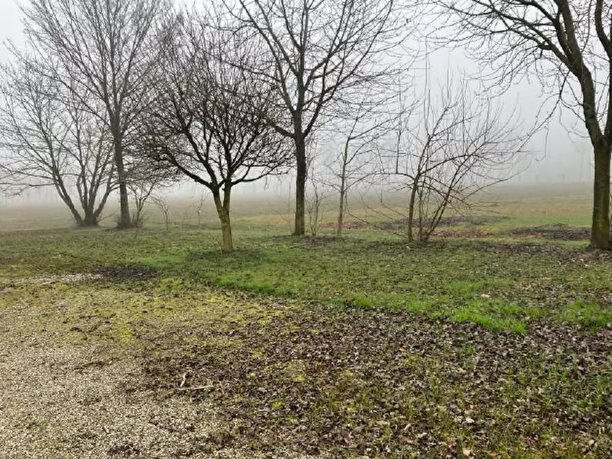 Immagine 5 di Terreno in vendita  in Via Montello a San Giorgio In Bosco