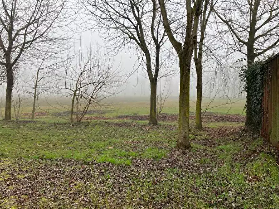 Immagine 6 di Terreno in vendita  in Via Montello a San Giorgio In Bosco