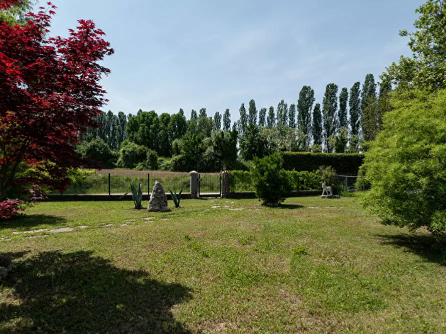 Immagine 16 di Villa in vendita  a Albignasego