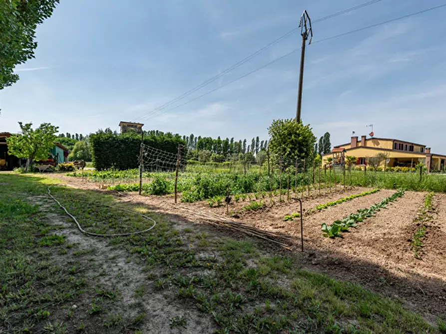 Immagine 22 di Villa in vendita  a Albignasego