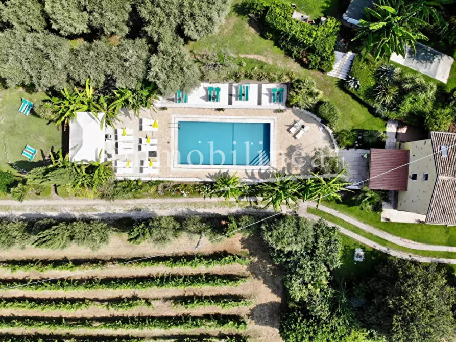 Immagine 3 di Appartamento in vendita  in STRADA MAZZANO n. 1 Piano T-1 a Bardolino