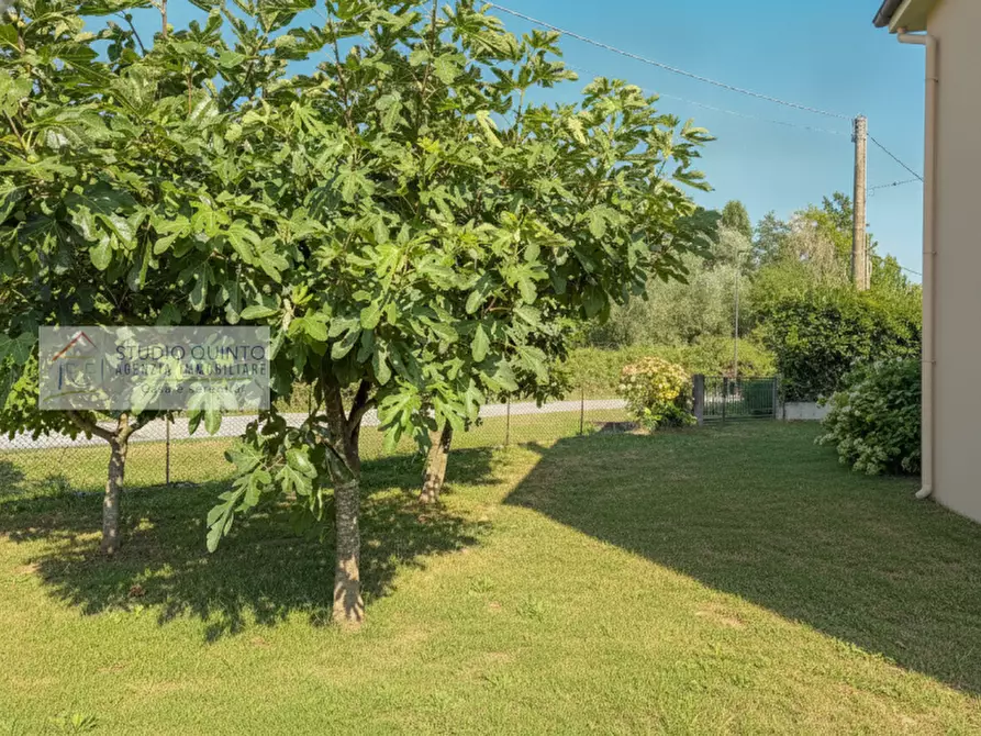 Immagine 7 di Casa indipendente in vendita  a Quinto Di Treviso