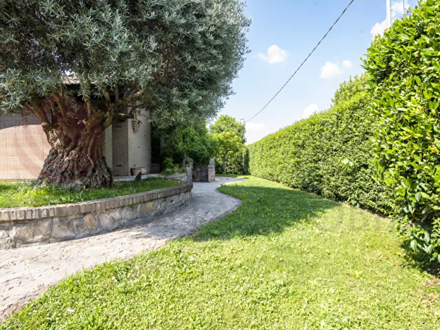 Immagine 21 di Casa indipendente in vendita  in Via Due Torri a Due Carrare