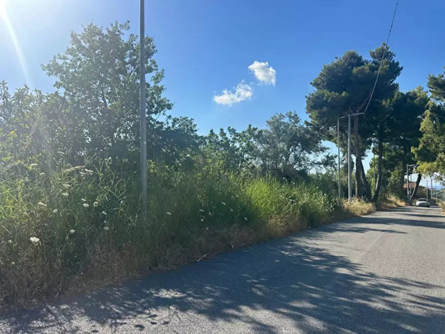 Immagine 2 di Terreno in vendita  in Contrada Sorgente a San Filippo Del Mela
