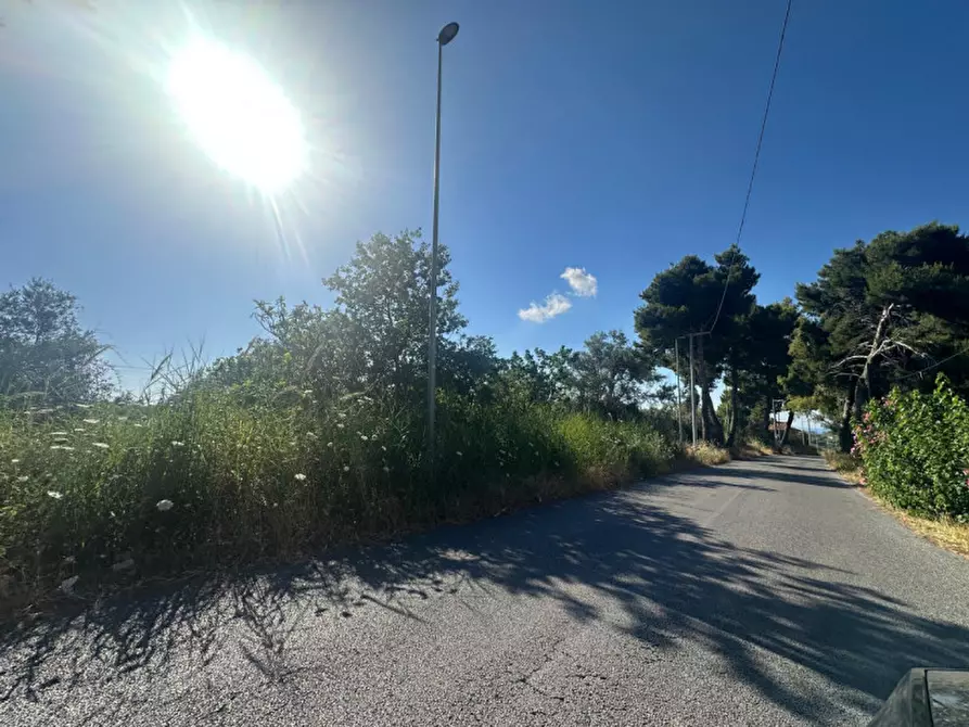 Immagine 3 di Terreno in vendita  in Contrada Sorgente a San Filippo Del Mela