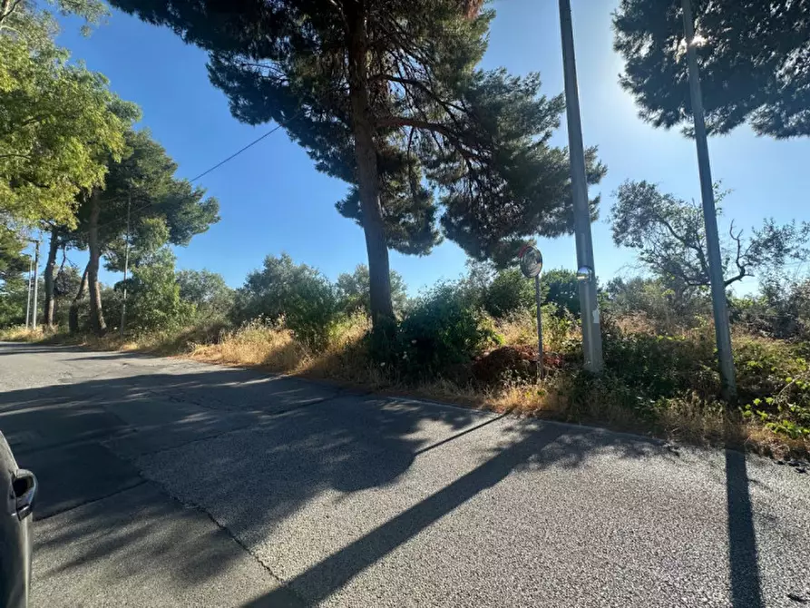 Immagine 4 di Terreno in vendita  in Contrada Sorgente a San Filippo Del Mela